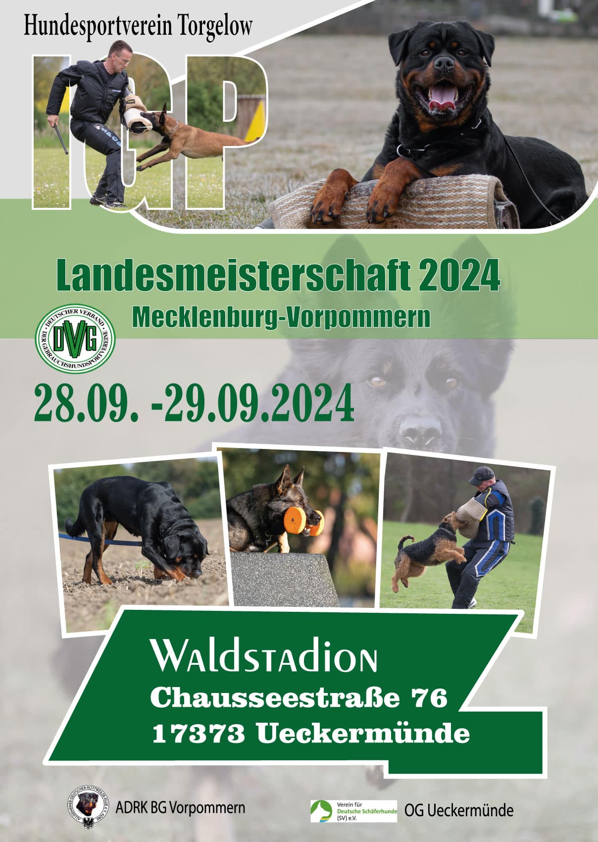 Plakat-DVG-neu