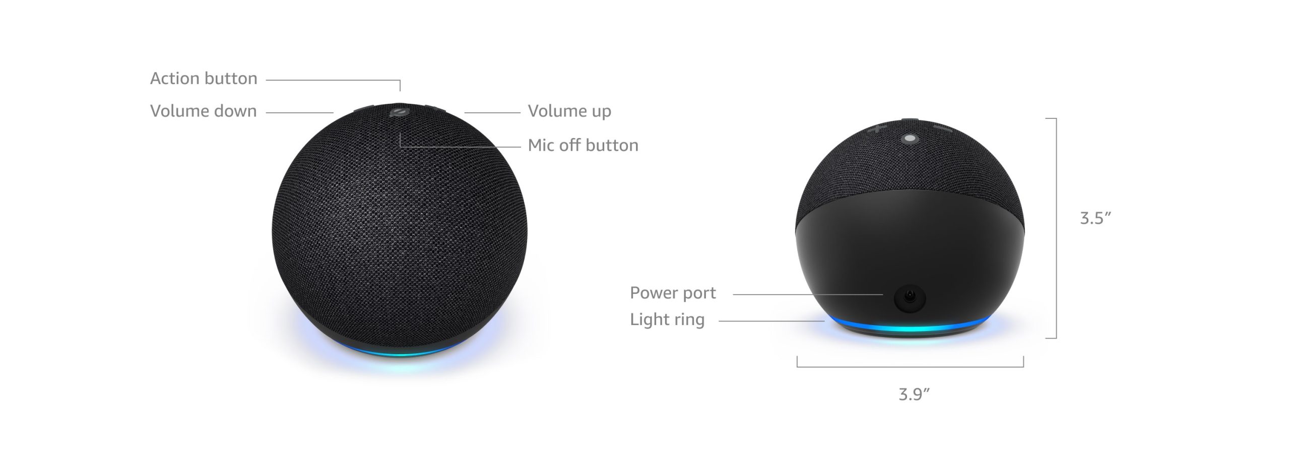 Echo Dot (5th Gen)