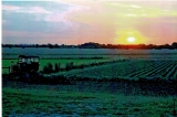 Sunset at Bridge Farm, The Heath, 2012