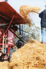 Old Fashioned Farming -1998