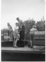 Fruit Picking - Priors Field Farm - photo provided by Tim Rose