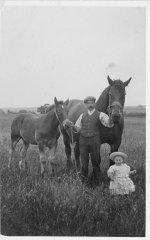 Horses & Cecil Rose - photo provided by Tim Rose