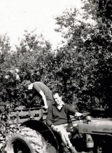 Fruit Picking at Bridge Farm 1972