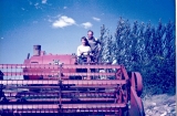 Combine Harvester at Bridge Farm