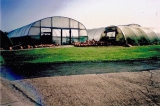 Pumpkins at Bridge Farm 2012