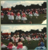 Carnival 1985 (Shirley Purvis)