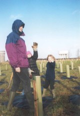 December 2000 - Jackie Ulyett , 2nd planting