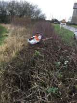 Jan 2023 - Front  Hedge Cutting