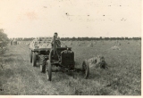 David Godfrey driving the tractor at Plum Harvest