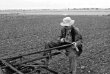 Jerry Pingree Ploughing 2010