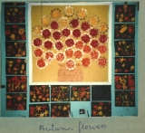 1987 wall display (Shirley Purvis)