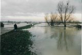 5th Jan 2003 - Looking back to Bluntisham from Brownshill Staunch