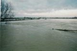 Flooding of the Ouse 5th Jan 2003 , View back to Bluntisham from Brownshill staunch, with the river to the right and the flooded land on the left.