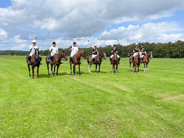 Hästpolo på Blommeröd – Uppställning