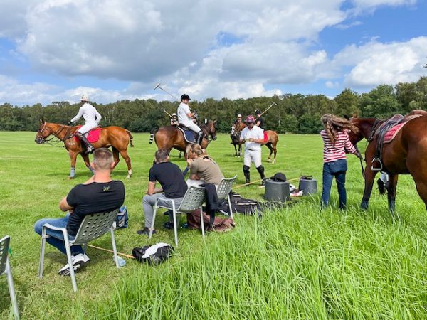 Hästpolo på Blommeröd – med publik