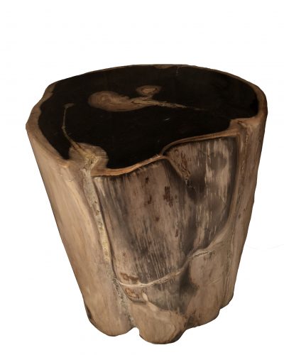 Créateurs d'ambiance Fossil stool