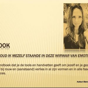 E-book Hoe houd ik mezelf staande in deze wirwar van emoties