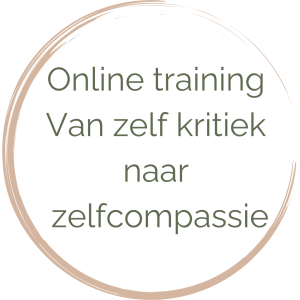 Online module inclusief individuele opstelling