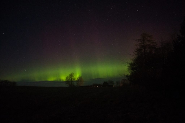 Feb 26 2023, Northern Lights in my Garden Græsted