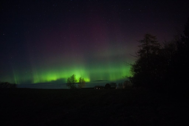 Feb 26 2023, Northern Lights in my Garden Græsted