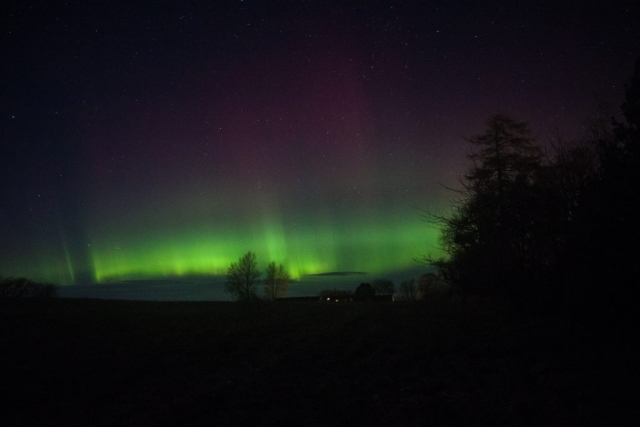 Feb 26 2023, Northern Lights in my Garden Græsted