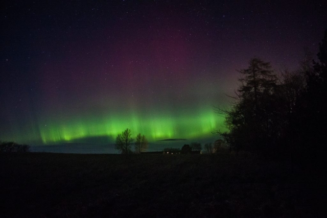 Feb 26 2023, Northern Lights in my Garden Græsted