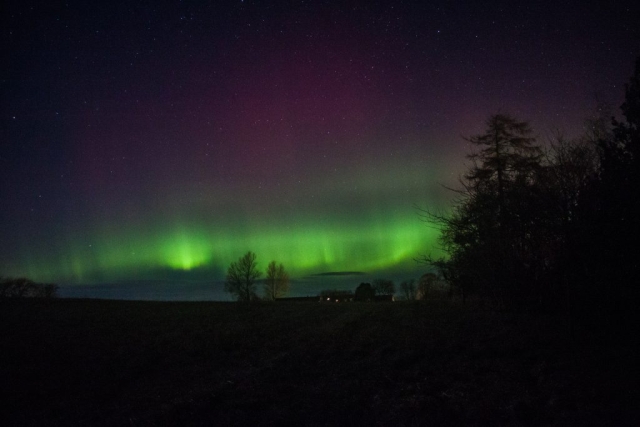 Feb 26 2023, Northern Lights in my Garden Græsted