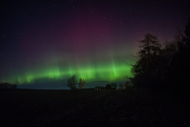 Feb 26 2023, Northern Lights in my Garden Græsted