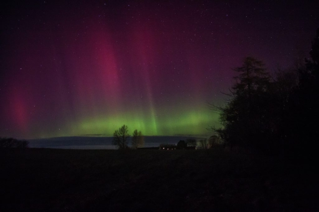 Feb 26 2023, Northern Lights in my Garden Græsted