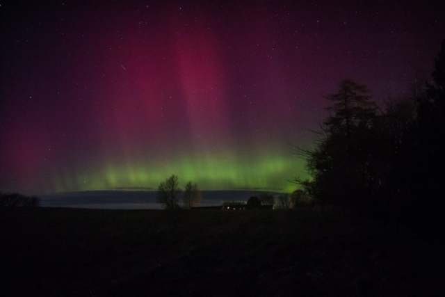 Feb 26 2023, Northern Lights in my Garden Græsted