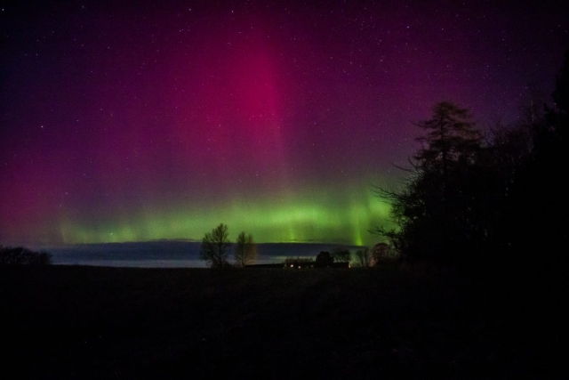 Feb 26 2023, Northern Lights in my Garden Græsted