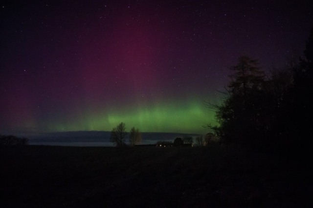 Feb 26 2023, Northern Lights in my Garden Græsted