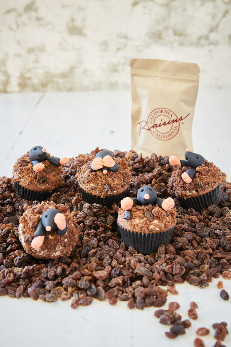 Ein Klassiker im Kleinformat:Maulwurf-Muffins - Bienenstube