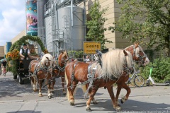 18 Jahre Giesinger Bräu mit Prachtgespann vom Werk 2 in Milbertshofen nach Giesing 2023