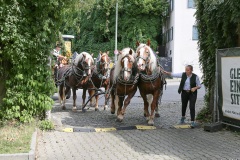 18 Jahre Giesinger Bräu mit Prachtgespann vom Werk 2 in Milbertshofen nach Giesing 2023