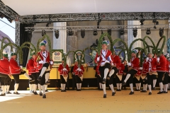 Schäfflertanz am Münchner Brauertag am Odeonsplatz in München 2019