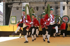 Schäfflertanz am Münchner Brauertag am Odeonsplatz in München 2019