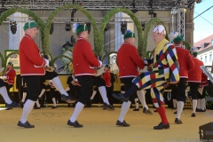 Schäfflertanz am Münchner Brauertag am Odeonsplatz in München 2019