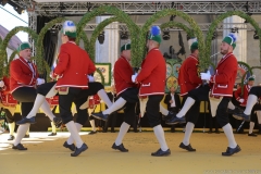 Schäfflertanz am Münchner Brauertag am Odeonsplatz in München 2019