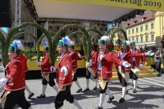 Schäfflertanz am Münchner Brauertag am Odeonsplatz in München 2019