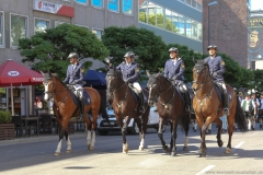 Münchner Brauertag am Odeonsplatz in München am 29.6.2019