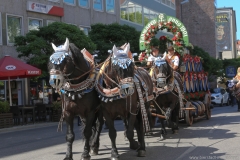 Münchner Brauertag am Odeonsplatz in München am 29.6.2019