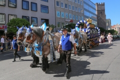 Münchner Brauertag am Odeonsplatz in München am 29.6.2019