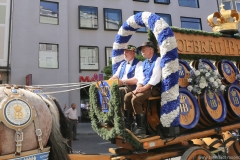 Münchner Brauertag am Odeonsplatz in München am 29.6.2019