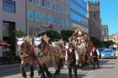 Münchner Brauertag am Odeonsplatz in München am 29.6.2019