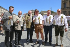 Münchner Brauertag am Odeonsplatz in München am 29.6.2019