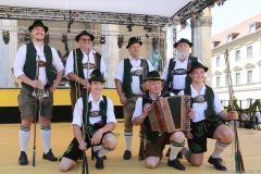 Münchner Brauertag am Odeonsplatz in München am 29.6.2019