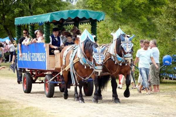 Hofbräu-Express bei den Sommerfesten von Hofbräu München im Park-Cafe und im Hofbräukeller Quelle Foto Hofbräu München