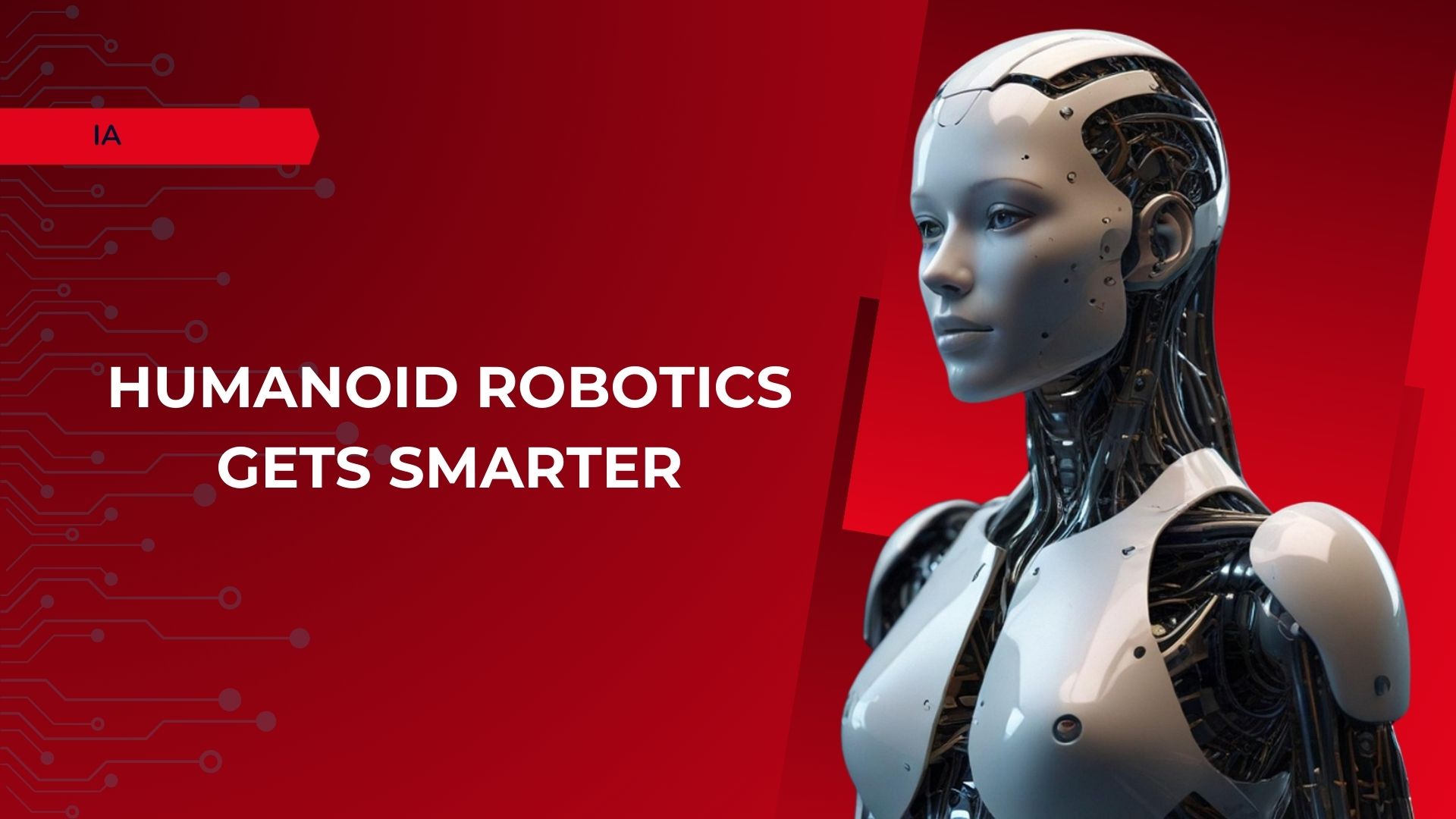 humanoid robotics AI robot in China