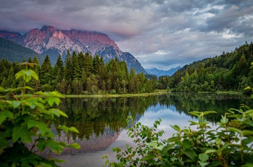 Allgäu